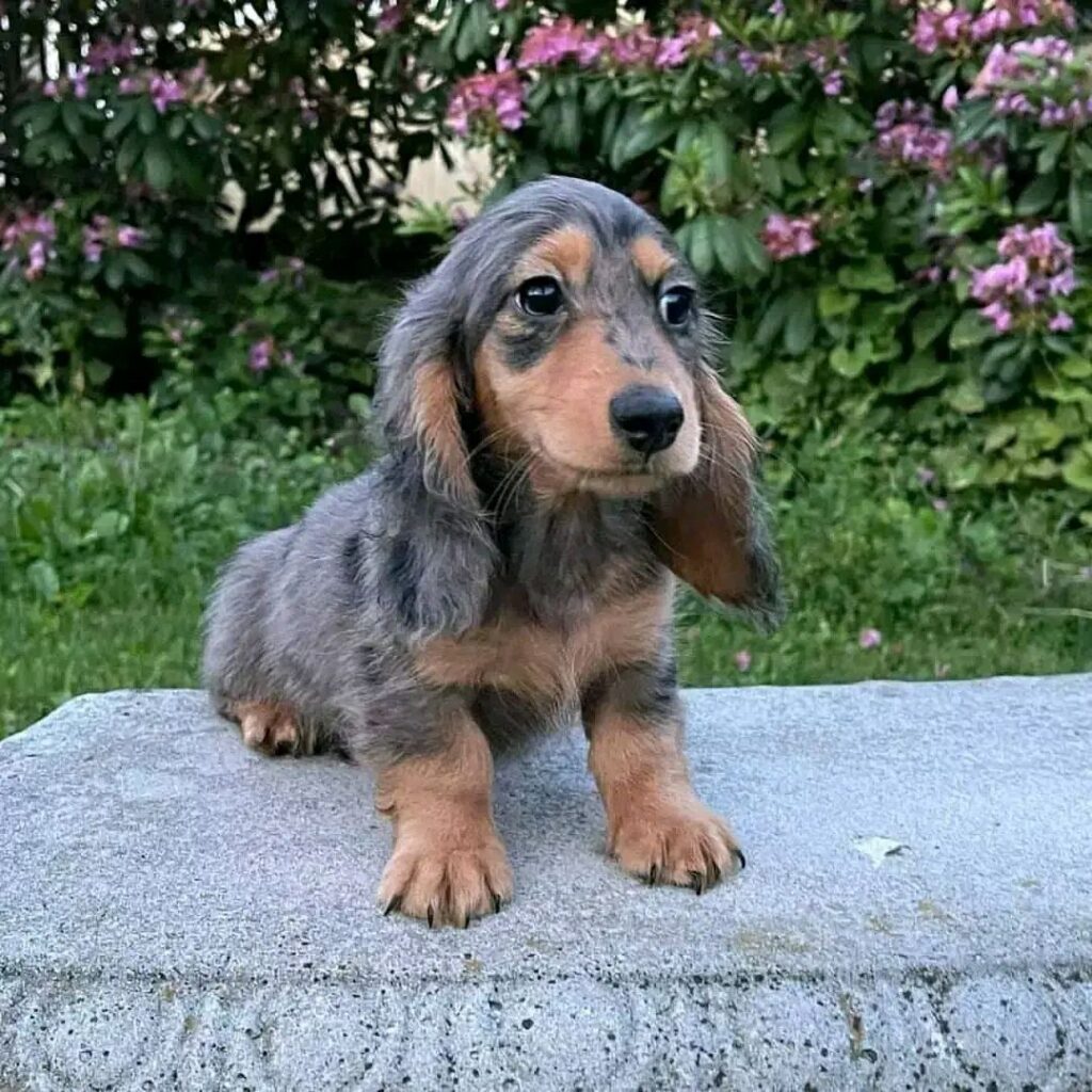 photo_2025-01-25_07-55-32