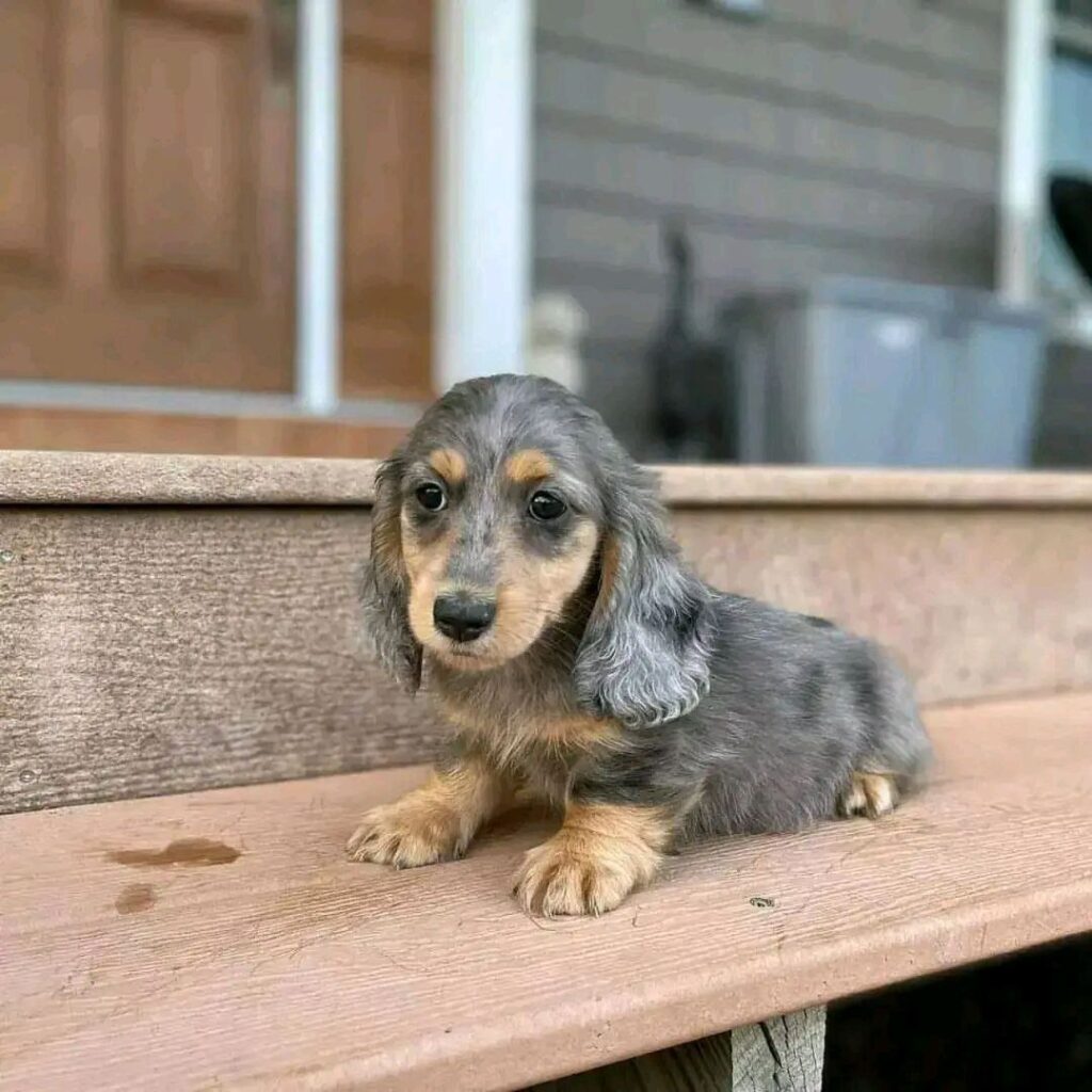 photo_2025-01-25_07-55-46