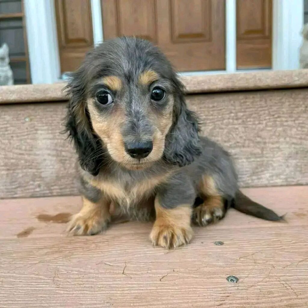 photo_2025-01-25_07-55-49