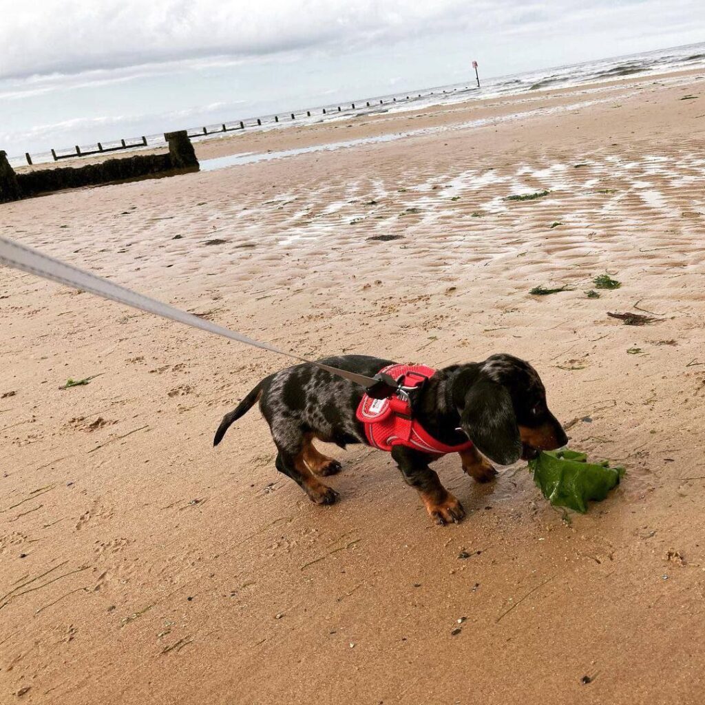 photo_2025-01-25_08-04-51