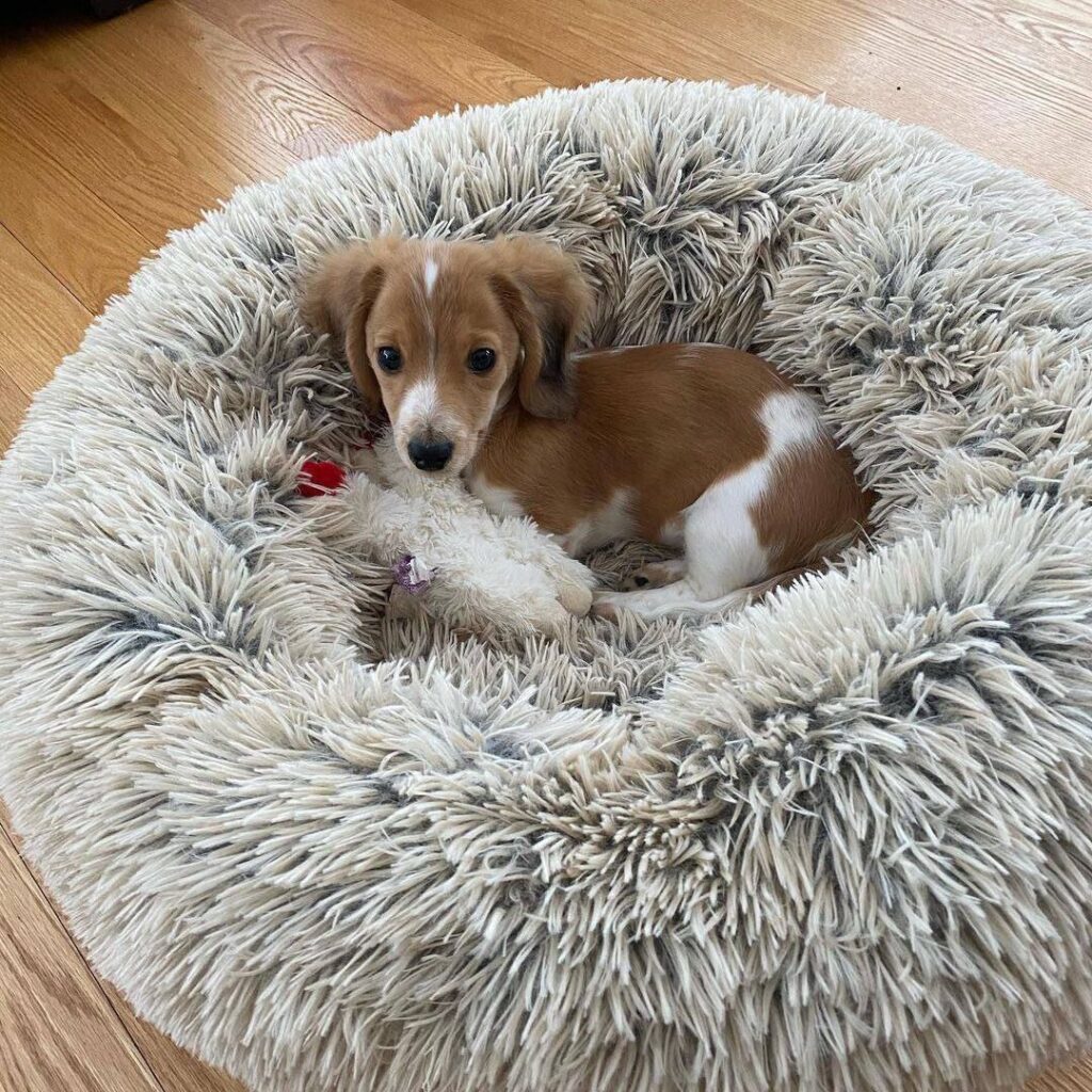 photo_2025-01-25_08-07-54