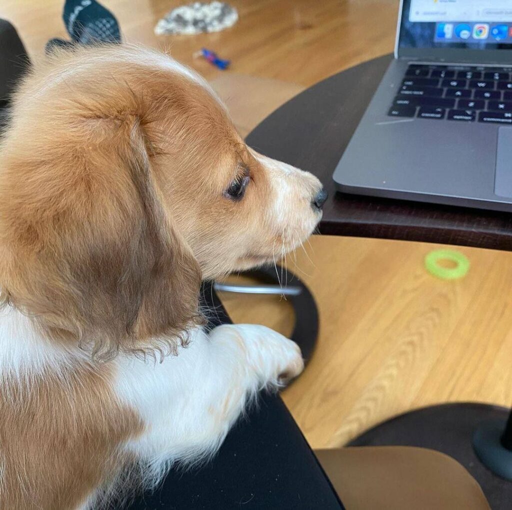 photo_2025-01-25_08-07-57