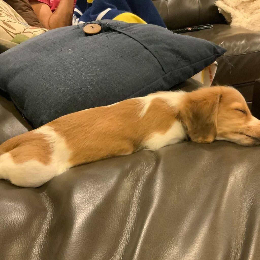 photo_2025-01-25_08-07-59