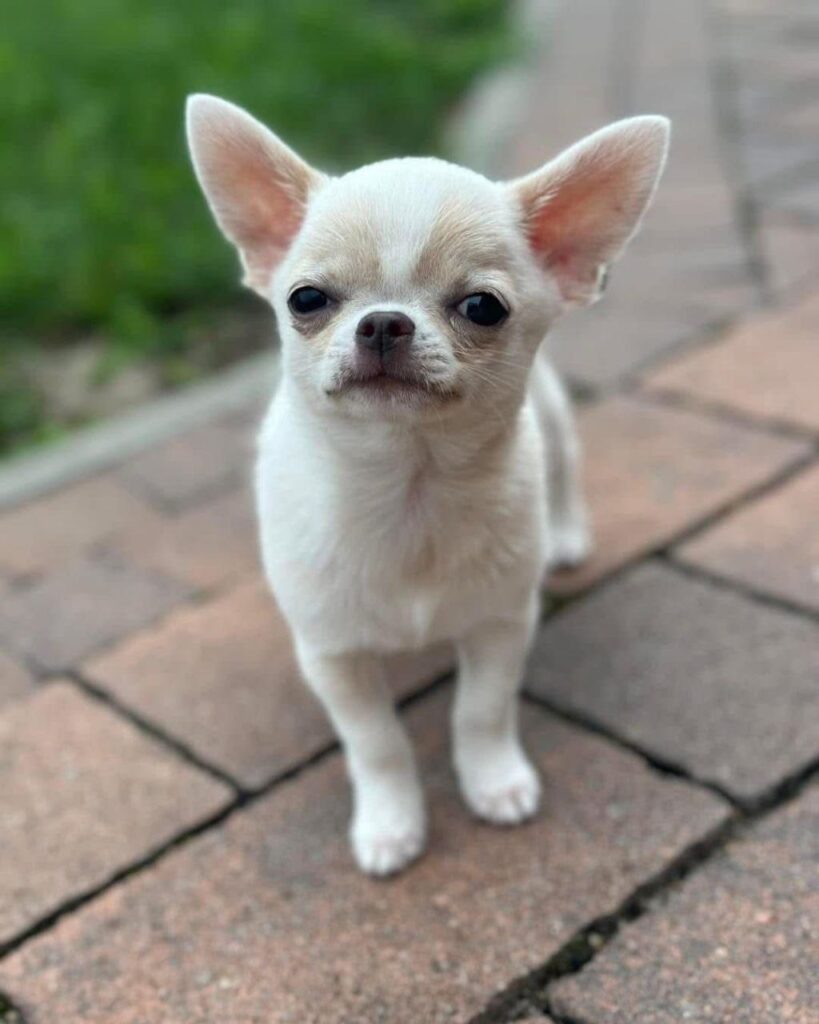 photo_2025-01-25_08-18-23 (2)