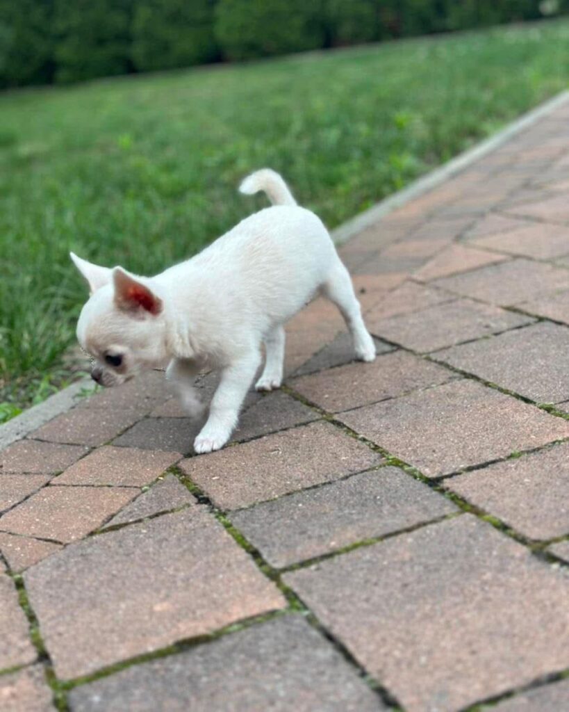 photo_2025-01-25_08-18-23