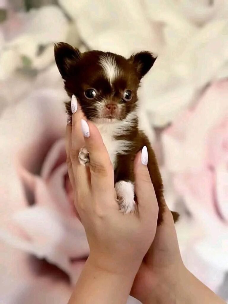 photo_2025-01-25_08-22-15