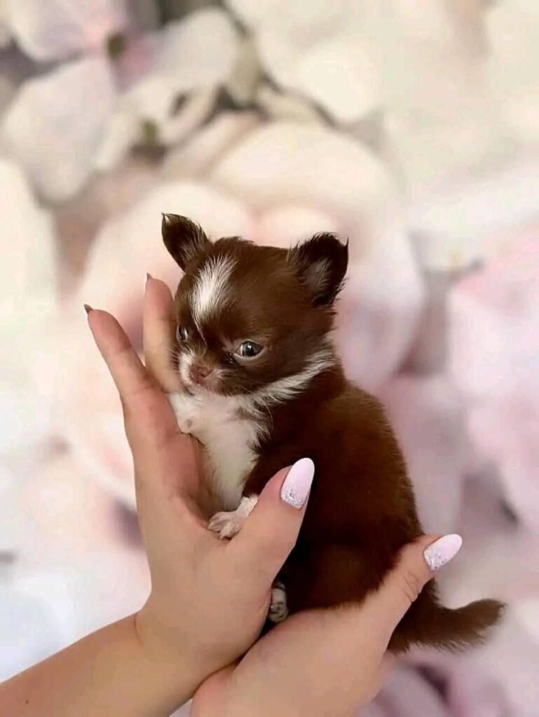 photo_2025-01-25_08-22-17