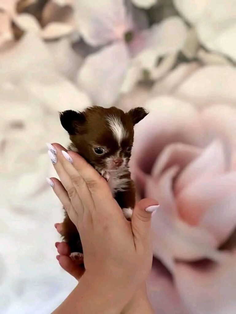 photo_2025-01-25_08-22-18