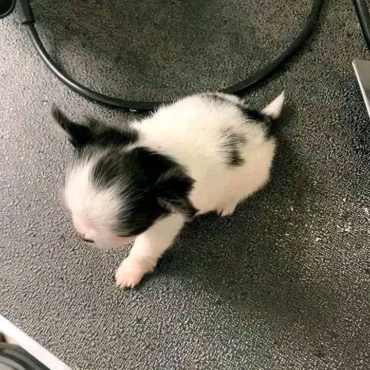 photo_2025-01-25_08-23-48