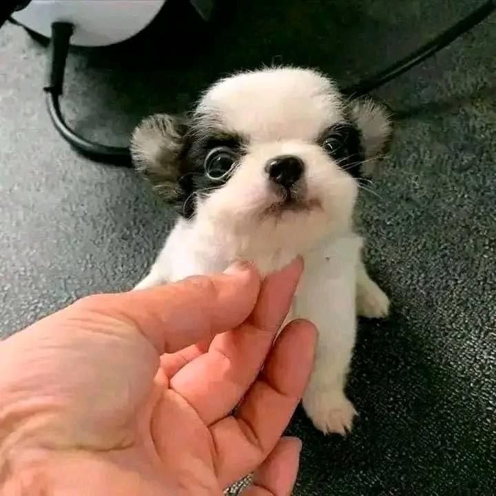 photo_2025-01-25_08-23-50