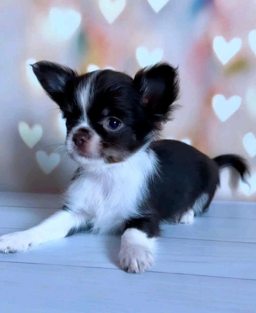 photo_2025-01-25_08-28-28