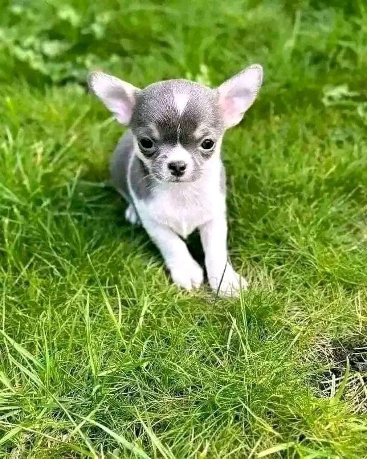 photo_2025-03-30_12-45-10