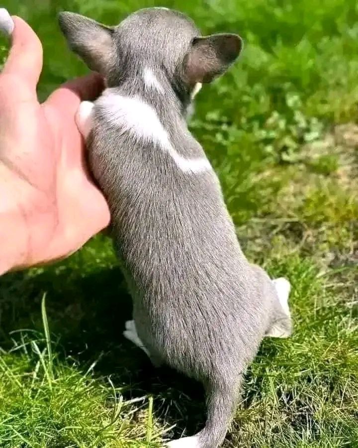 photo_2025-03-30_12-45-12