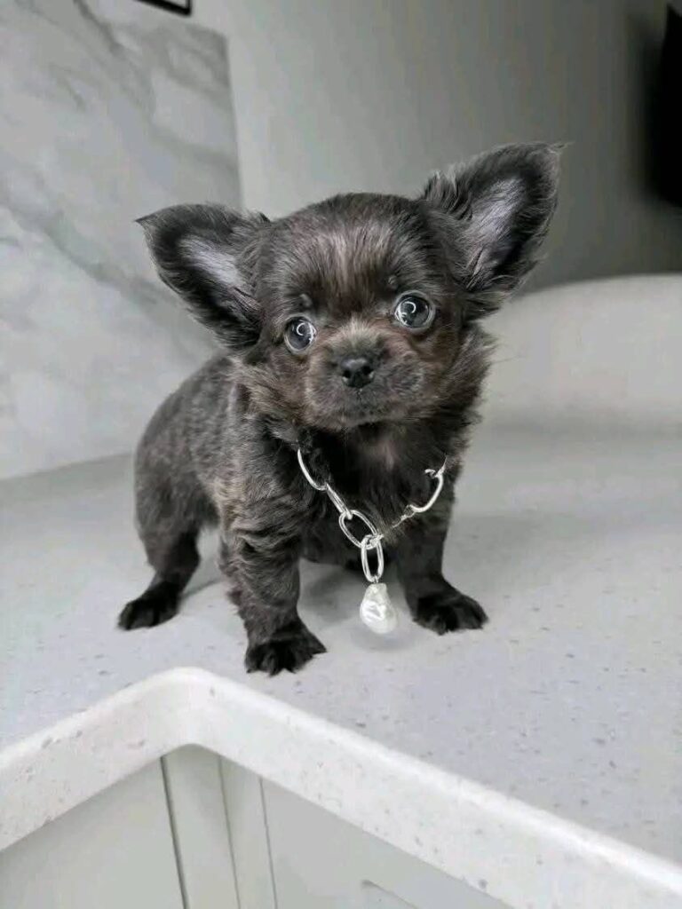 photo_2025-03-30_12-45-42