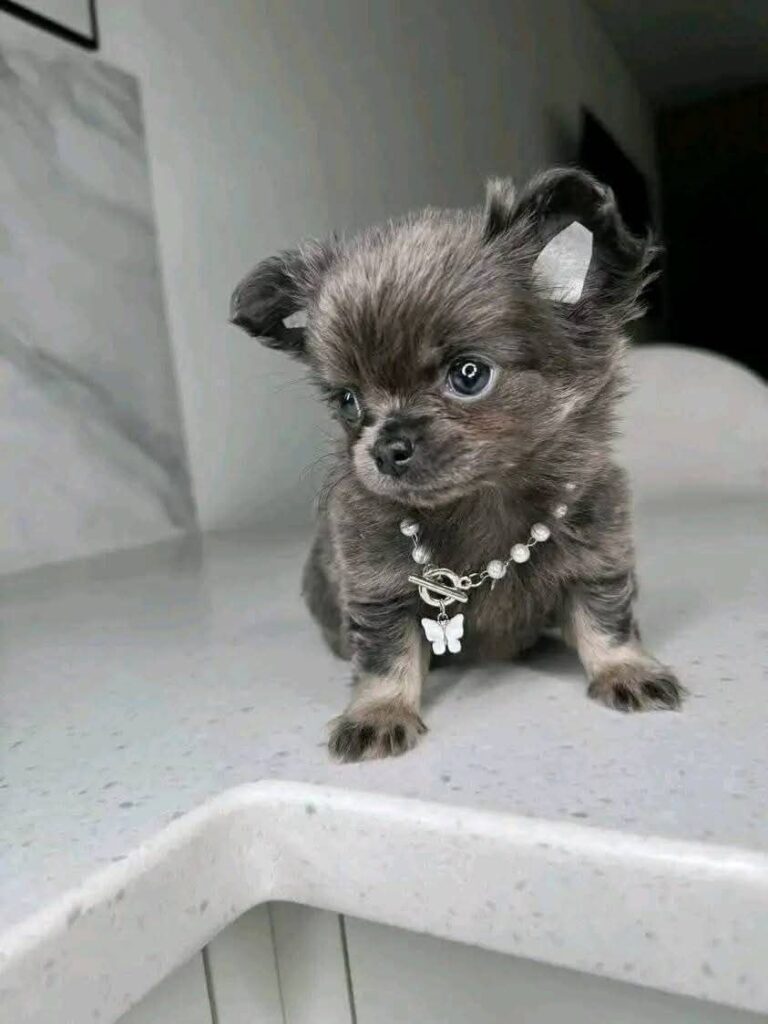 photo_2025-03-30_12-45-43 (2)